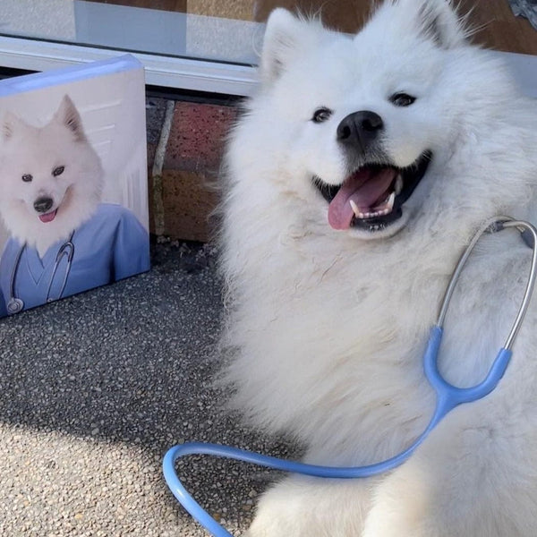 The Nurse - Custom Pet Canvas