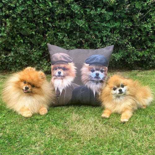 Crown and Paw - Throw Pillow The Gangster Brothers - Custom Throw Pillow