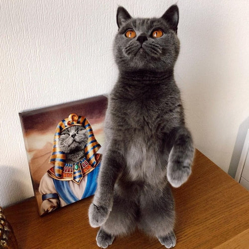 Crown and Paw - Canvas The Pharaoh - Custom Pet Canvas