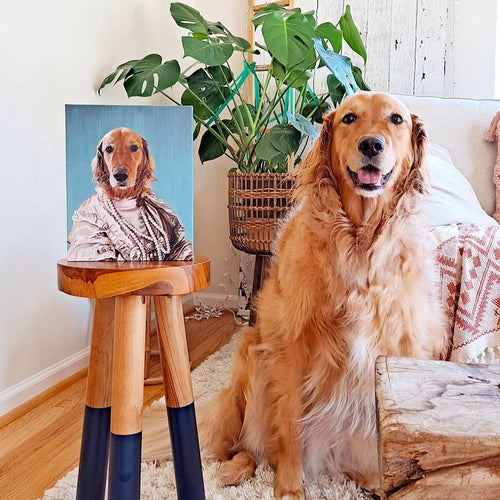 Crown and Paw - Canvas The Queen Regent - Custom Pet Canvas