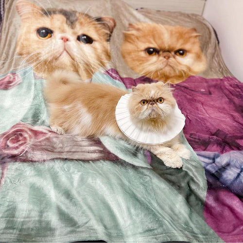 Crown and Paw - Blanket The Sisters - Custom Pet Blanket