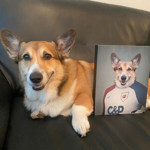 Crown and Paw - Canvas The Soccer Player - Custom Pet Canvas