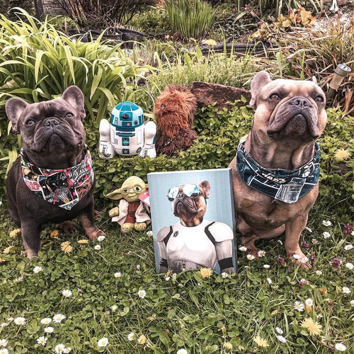 Crown and Paw - Canvas The Trooper - Custom Pet Canvas