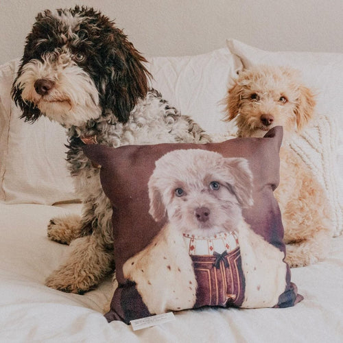 Crown and Paw - Throw Pillow The Young King - Custom Throw Pillow