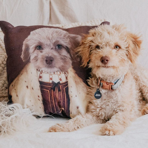 Crown and Paw - Throw Pillow The Young King - Custom Throw Pillow