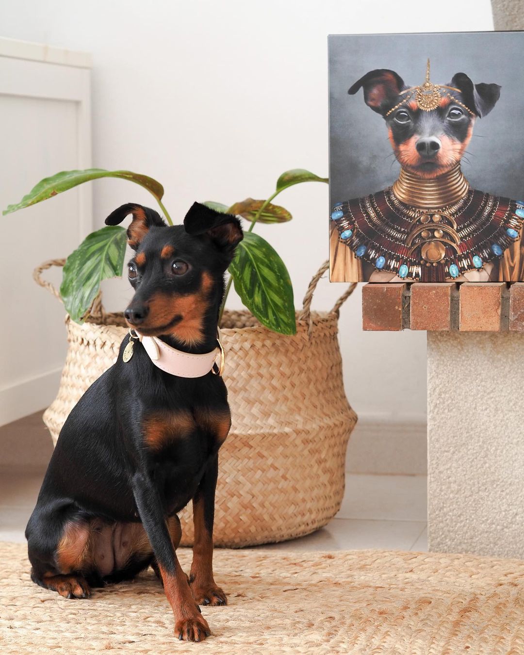 The Nubian Queen Custom Pet Canvas