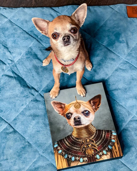 Puppy-Proofing Your House: Creating a Safe Space for Your New Dog
