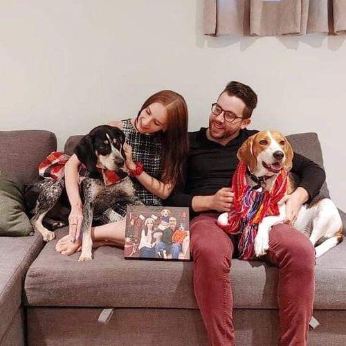 Crown and Paw - Canvas The Family Christmas (Four Pets) - Custom Pet Canvas