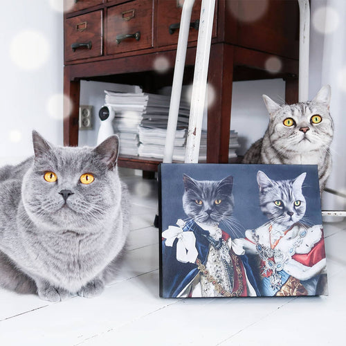 collection-meta-image-2