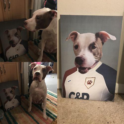 Crown and Paw - Canvas The Soccer Player - Custom Pet Canvas