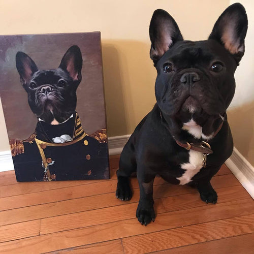 Crown and Paw - Canvas The Admiral - Custom Pet Canvas