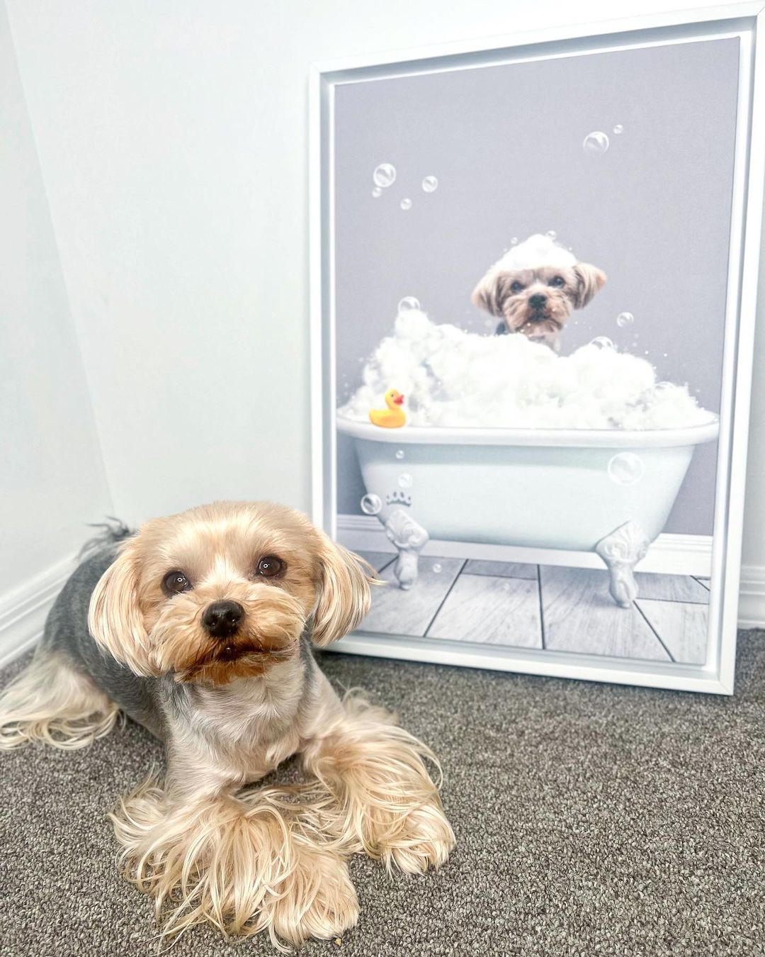 Dog and His Bathroom Canvas Wall Art