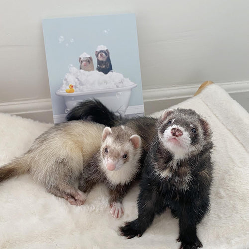 Crown and Paw - Canvas Bath Tub Pet Portrait (Two Pets) - Custom Pet Art