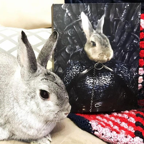 Crown and Paw - Canvas The Lady of the North - Custom Pet Canvas