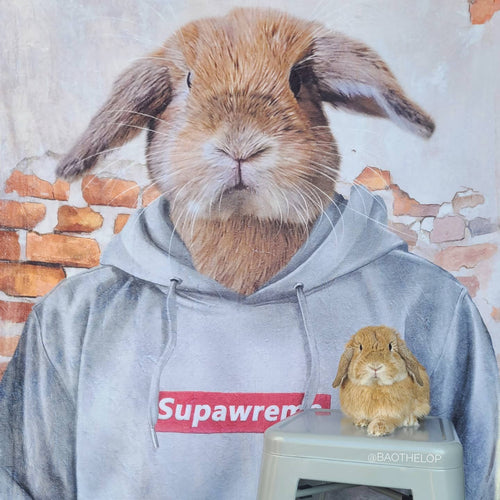 Crown and Paw - Canvas The Hypebeast - Custom Pet Canvas