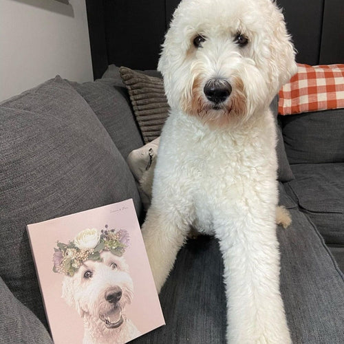 Crown and Paw - Canvas Full Bloom Pet Portrait - Custom Canvas 8" x 10" / Soft Pink