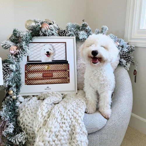 Crown and Paw - Classic Luxury Trunk Pet Portrait