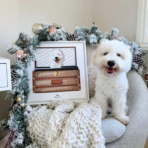 Crown and Paw - Classic Luxury Trunk Pet Portrait