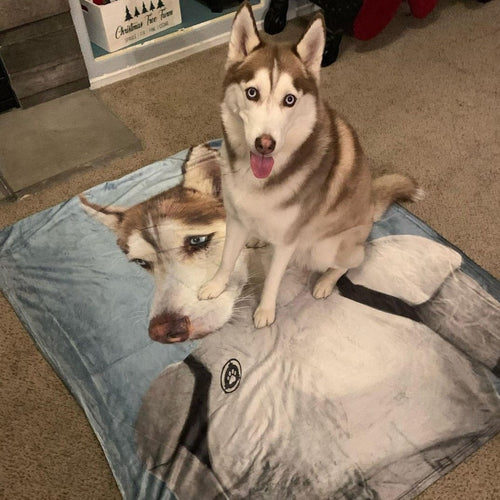 Crown and Paw - Blanket The Trooper - Custom Pet Blanket