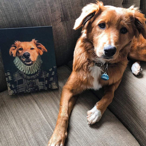 Crown and Paw - Canvas The Dame - Custom Pet Canvas