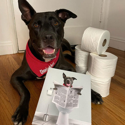 Crown and Paw - Canvas Restroom Pet Portrait - Custom Pet Art