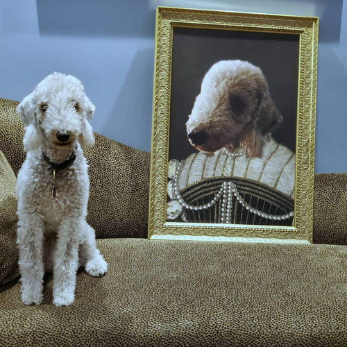 Crown and Paw - Poster The Pearled Lady - Custom Pet Poster