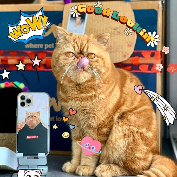 The Hypebeast - Custom Pet Phone Case