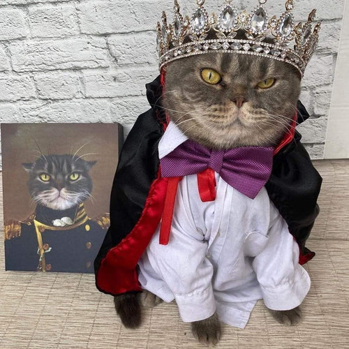 Crown and Paw - Canvas The Admiral - Custom Pet Canvas