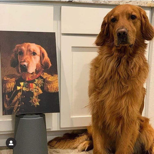 Crown and Paw - Canvas The Veteran - Custom Pet Canvas
