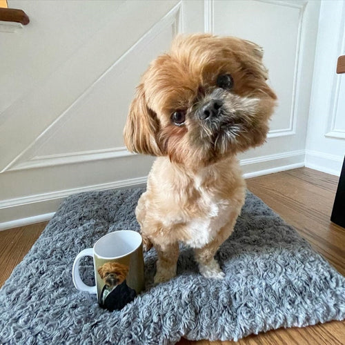 Crown and Paw - Mug The Ambassador - Custom Mug 11oz