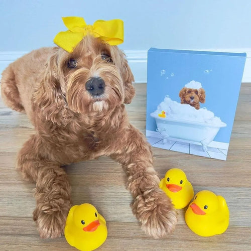 Crown and Paw - Canvas Bath Tub Pet Portrait (One Pet) - Custom Pet Art Canvas 8" x 10" / Blue / Without Curtain