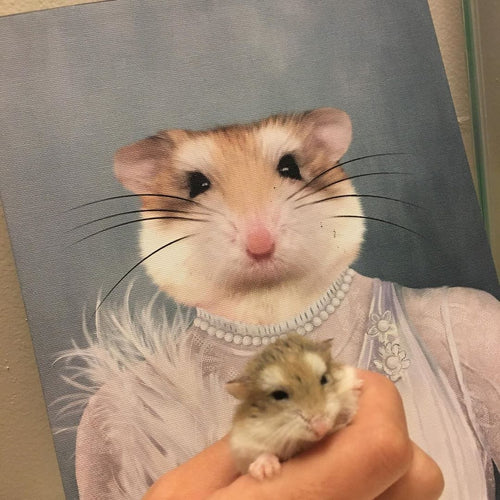 Crown and Paw - Canvas The Ballerina - Custom Pet Canvas
