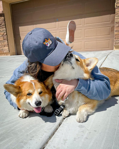 Essential Factors to Consider When Choosing Gifts for Pet Owners