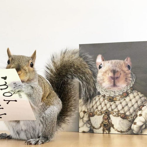 Crown and Paw - Canvas The Princess - Custom Pet Canvas