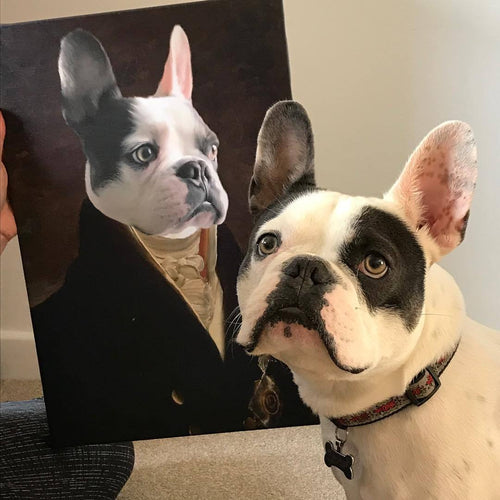 Crown and Paw - Canvas The Count - Custom Pet Canvas