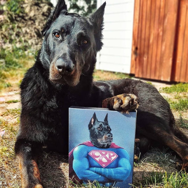 Supawman - Custom Pet Canvas