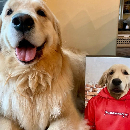 Crown and Paw - Canvas The Hypebeast - Custom Pet Canvas