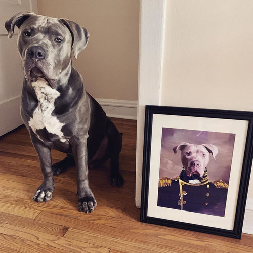 Crown and Paw - Poster The Admiral - Custom Pet Poster