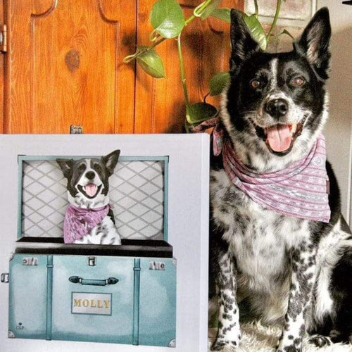Crown and Paw - Baby Blue Luxury Trunk Pet Portrait