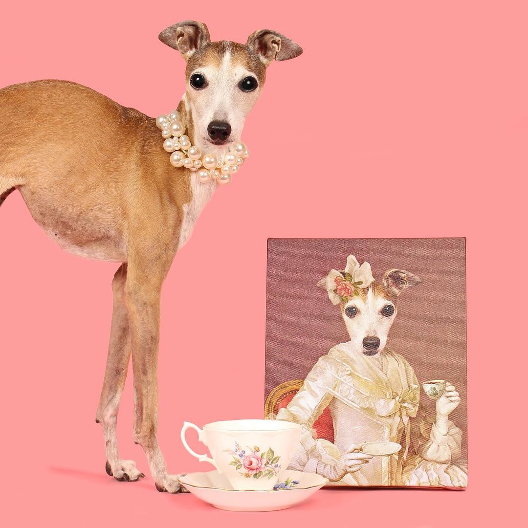 Queen pet portrait