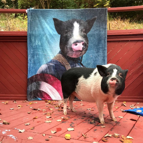 Crown and Paw - Blanket Captain Pawmerica - Custom Pet Blanket