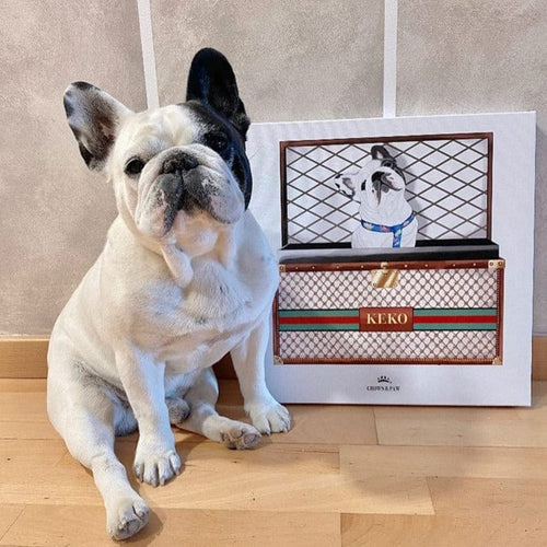 Crown and Paw - Boujee Luxury Trunk Pet Portrait