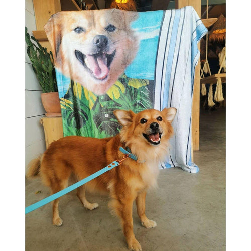 Crown and Paw - Blanket The Surfer - Custom Pet Blanket