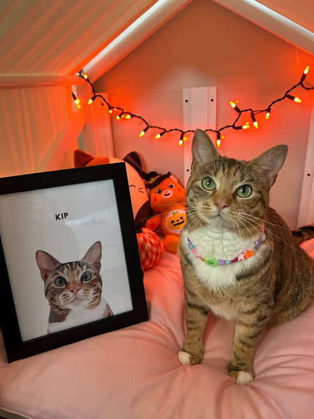Feline Festivities: How to Make A Special Christmas For Cats