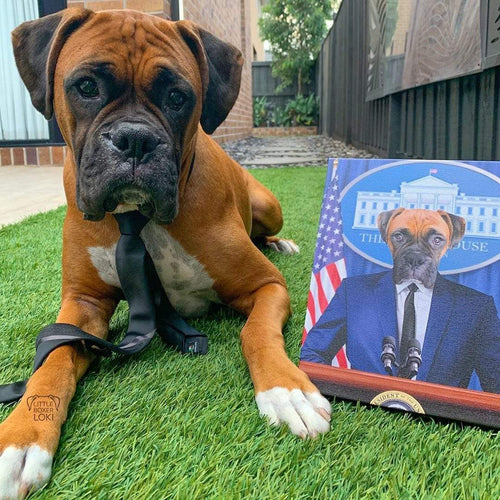 Crown and Paw - Canvas The Pawresident - Custom Pet Canvas