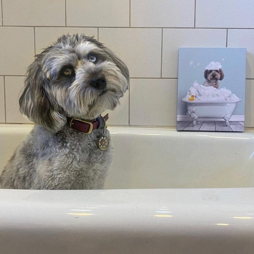 Crown and Paw - Canvas Bath Tub Pet Portrait (One Pet) - Custom Pet Art