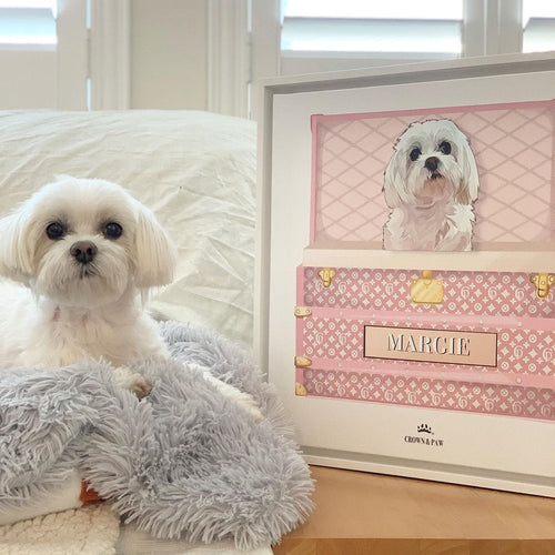 Crown and Paw - Bubblegum Pink Luxury Trunk Pet Portrait