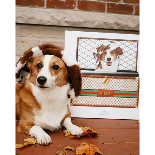 Crown and Paw - Boujee Luxury Trunk Pet Portrait