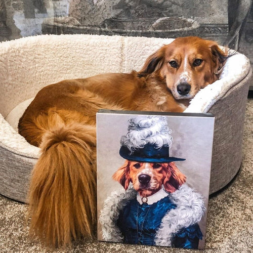 Crown and Paw - Canvas The Boa Lady - Custom Pet Canvas