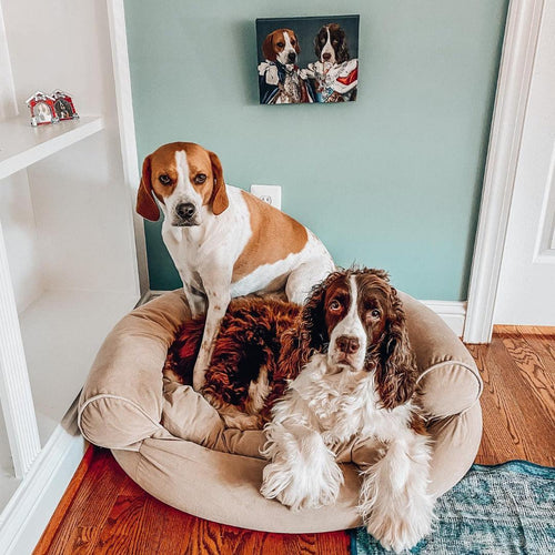 Crown and Paw - Canvas The Rulers - Custom Pet Canvas